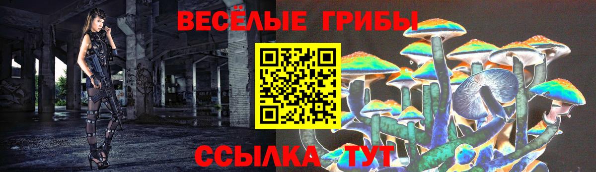 Арсеньев  где купить наркотик  Вход с VPN  Галлюциногенные грибы мицелий 